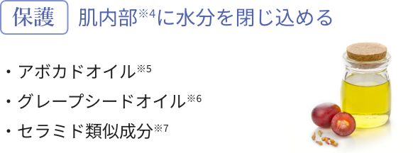 保護 肌内部※4に水分を閉じ込める・アボカドオイル※5・グレープシードオイル※6・セラミド類似成分※7